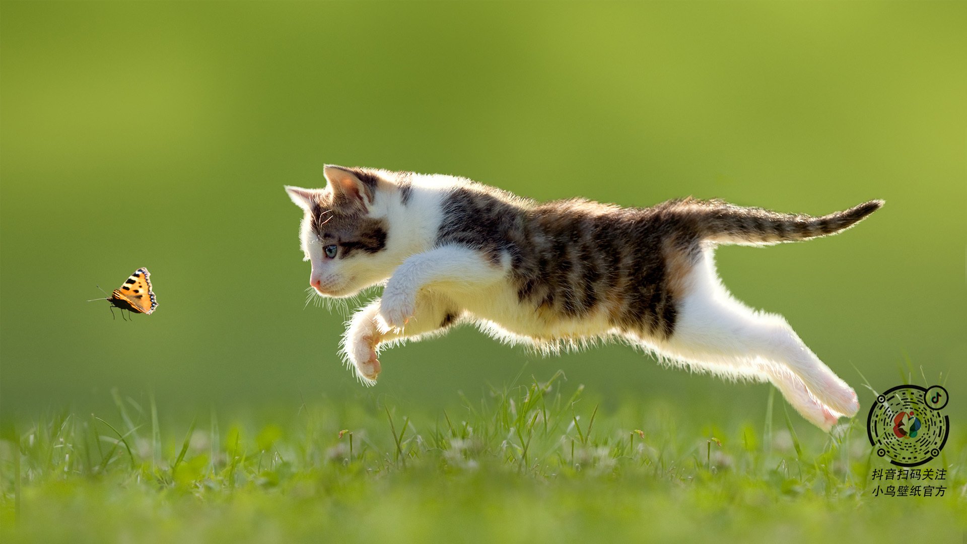 临场调度:车队如何应对突发状况?,车队应急预案和防范措施