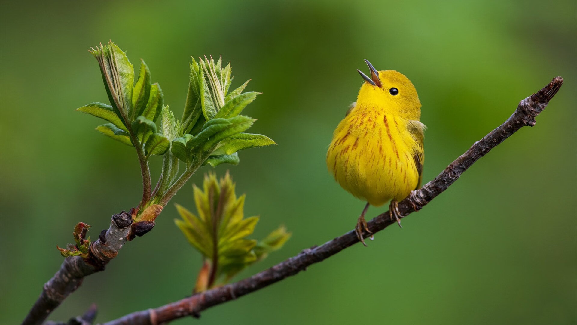开云·体育官网APP下载-中超豪门青训体系全面升级，稳步向前走，中超青训大户