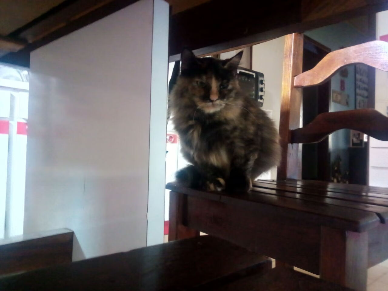 中国青少年篮球教育体系实行分类分级,科学发展助推行业升级,我国青少年篮球体校