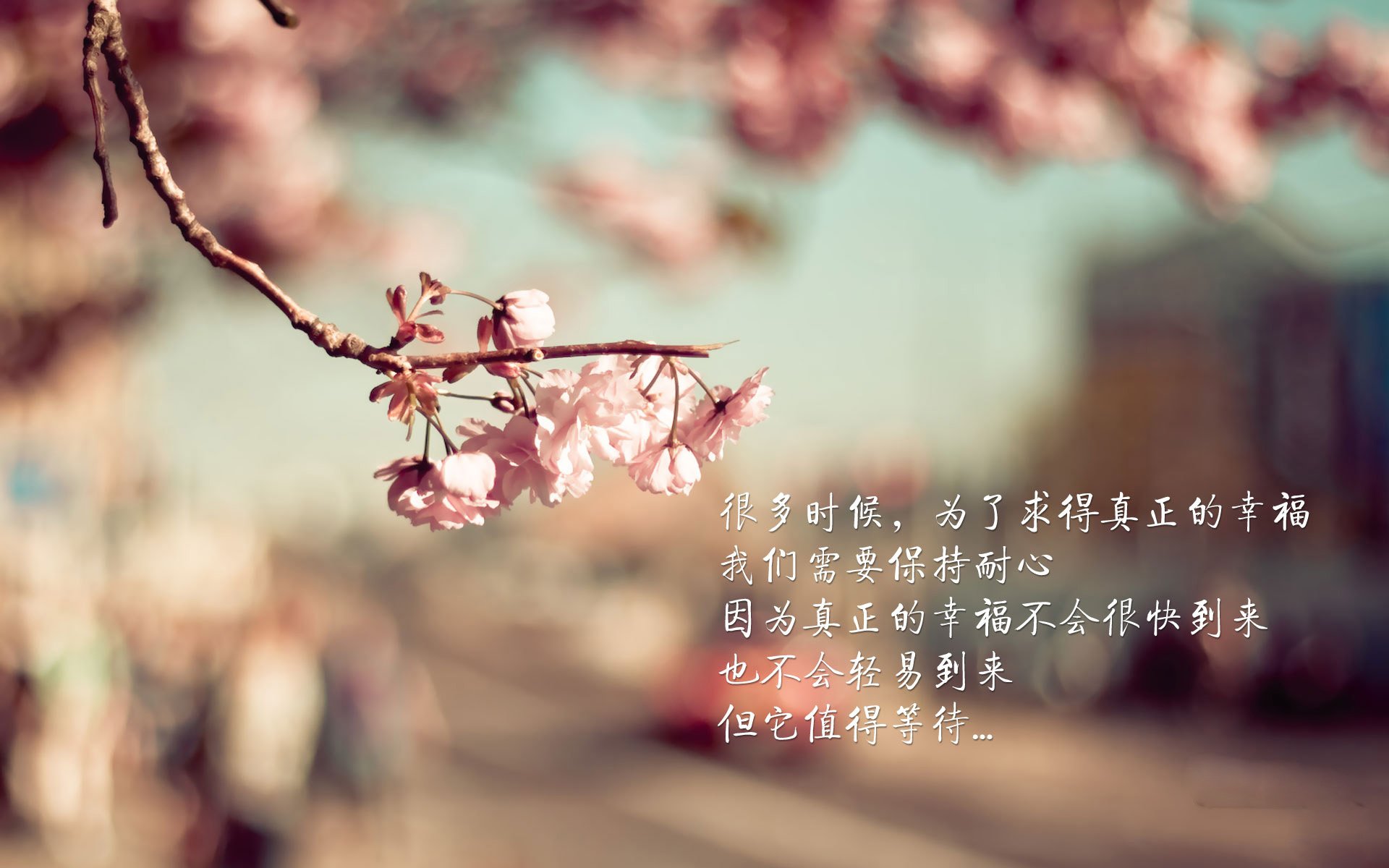 哥伦比亚女足在巴黎奥运会上展示了高水平的战术执行力,奥运会哥伦比亚女神