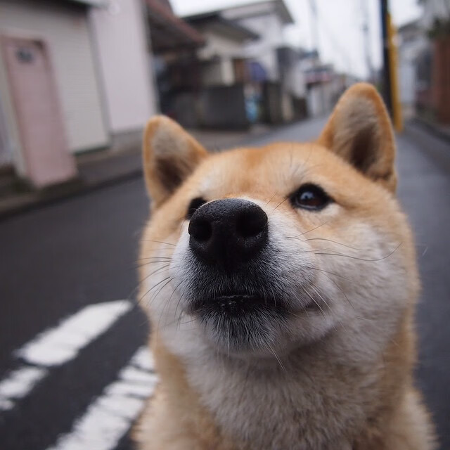 开云中国大陆-未来战场：智能化裁判、虚拟评论与赛场实时互动引领变革，智能裁判系统