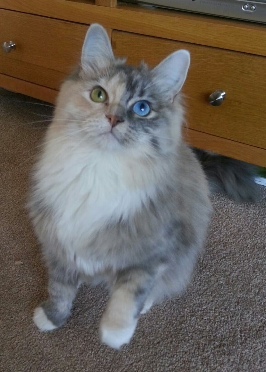 开云体育APP下载-特色足球节激发全民运动热情，推动体育文化繁荣，足球文化节活动