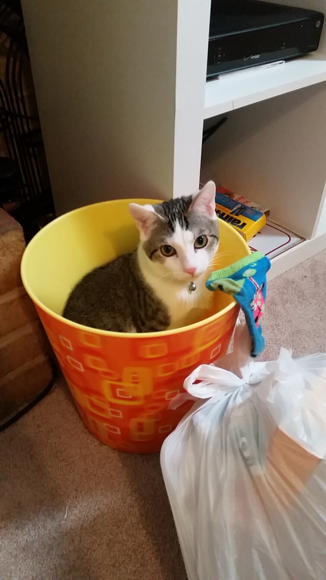 特色虚拟运动体验,未来体育的新潮流,虚拟运动的好处