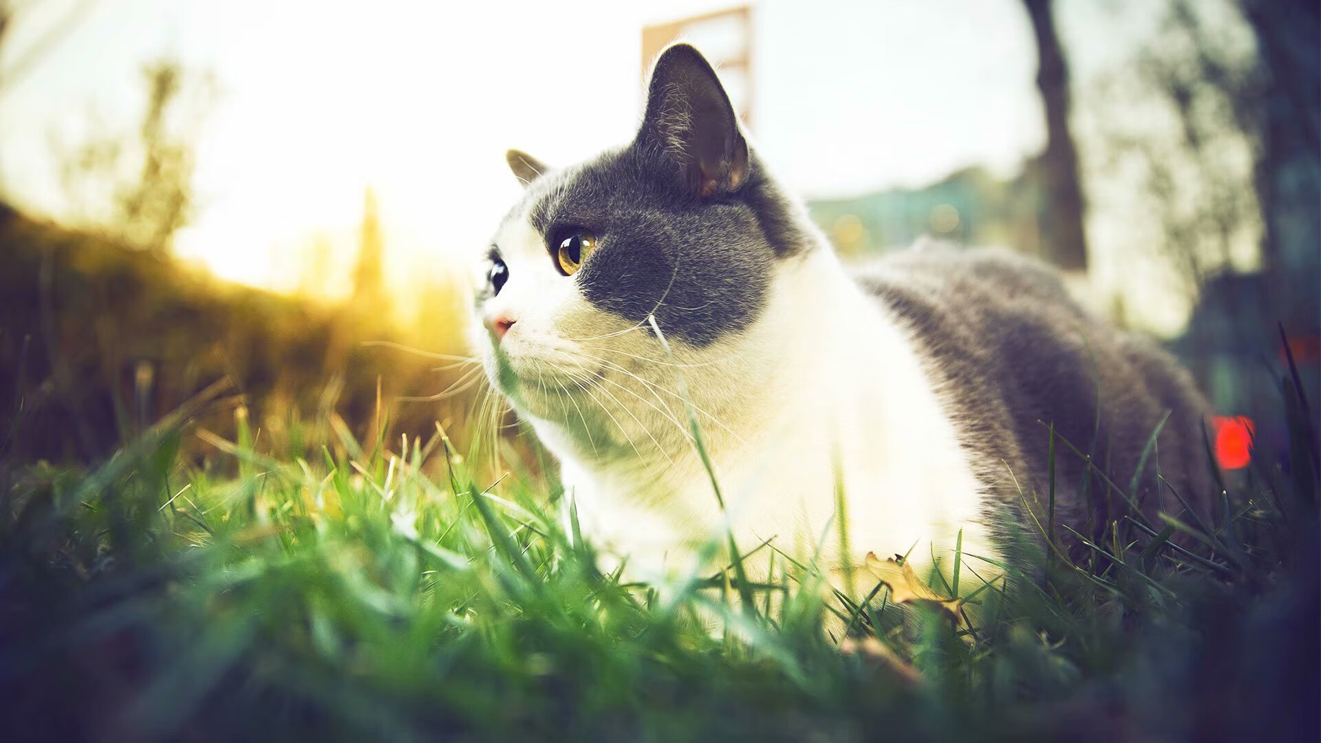 开云中国-英格兰奥运首战胜利迎好彩头，英格兰参加奥运会