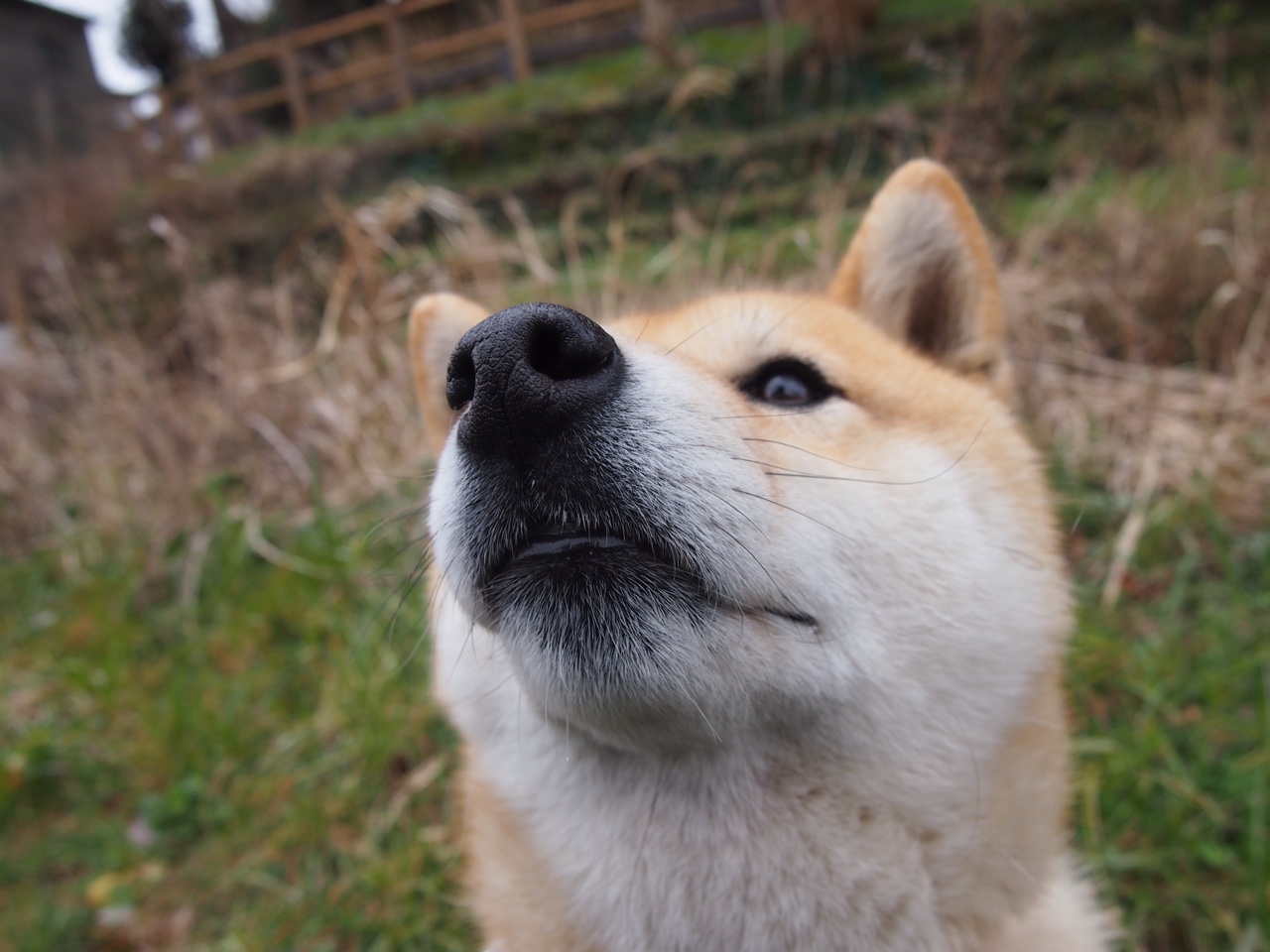 青少年极限摇滚攀岩,勇攀高峰的热血体验,攀岩 青少年