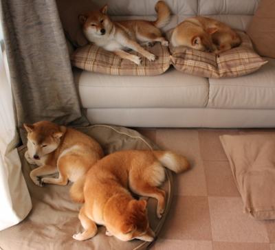 高校电竞联盟正式成立,推动校园电竞发展,高校电竞联赛