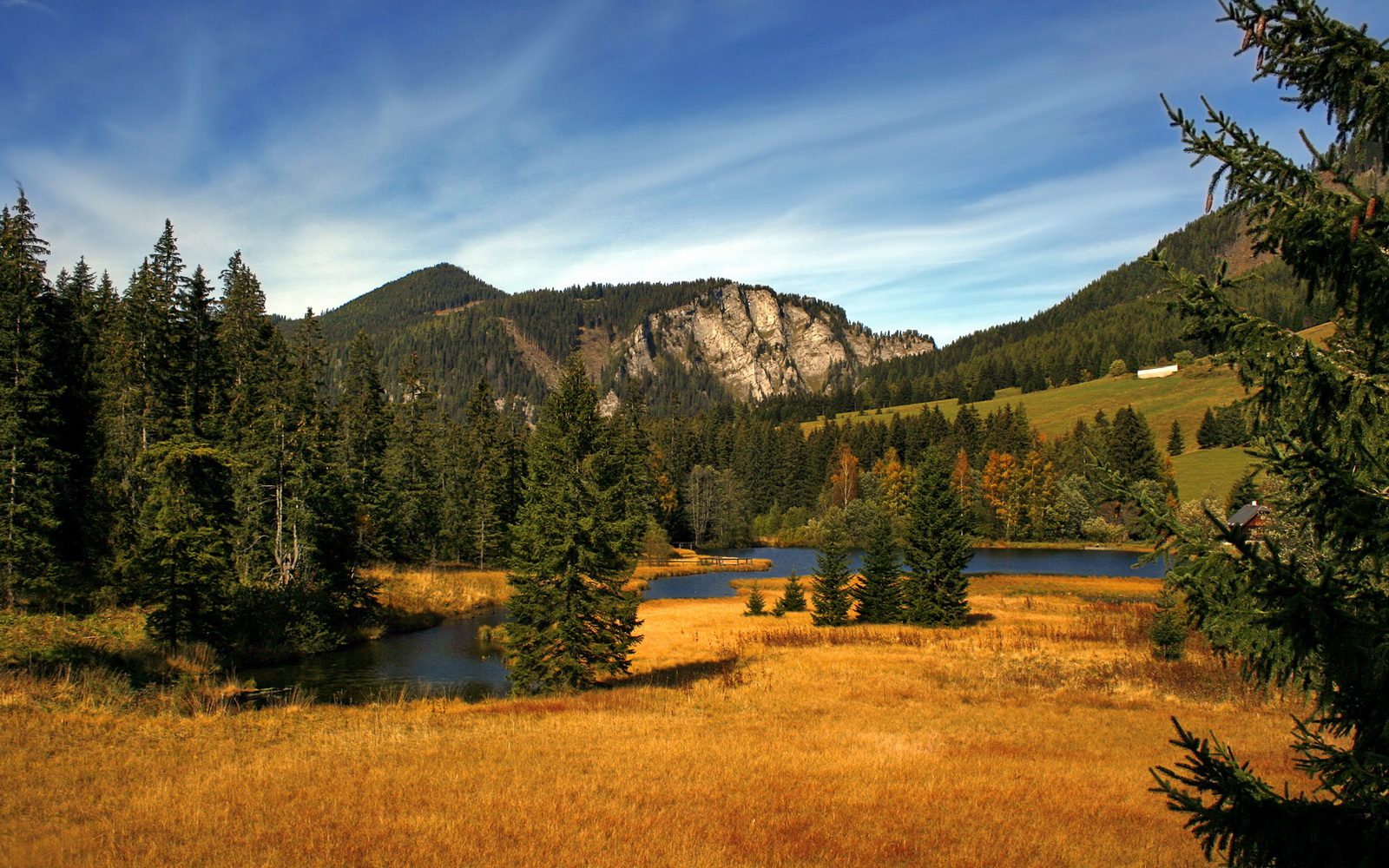 中国足球的球员健康管理体系,国足球员身体素质
