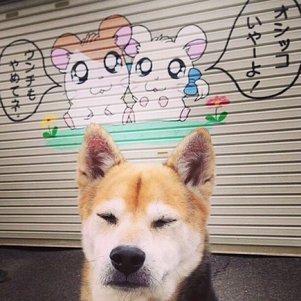 梅西率领迈阿密国际晋级中北美洲及加勒比海冠军杯半决赛，中北美及加勒比海地区世界杯预选赛排名