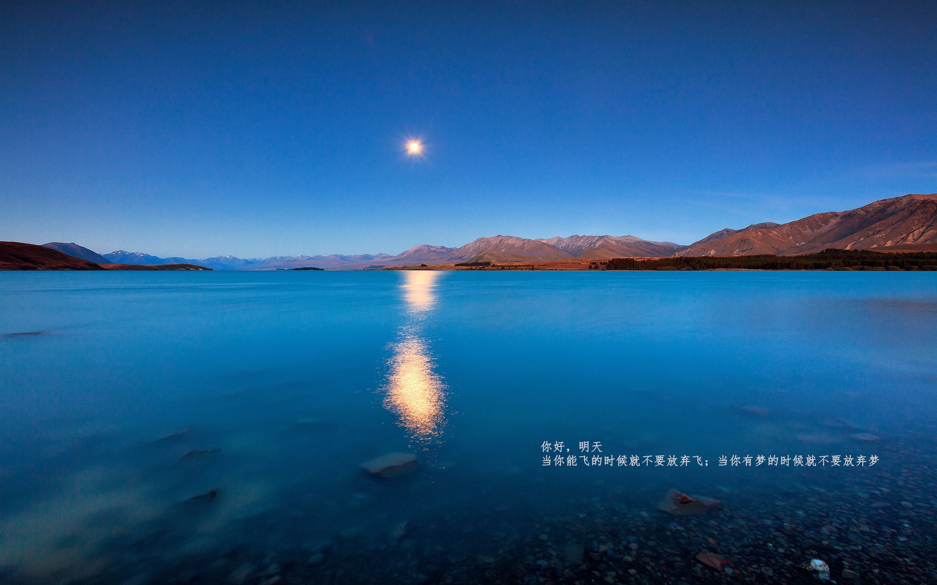 瓦伦西亚客场击败巴塞罗那,豪取胜利,瓦伦西亚vs巴塞罗那直播