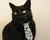 开云官方网页登录-那不勒斯击败佛罗伦萨，继续保持不败，那不勒斯全胜