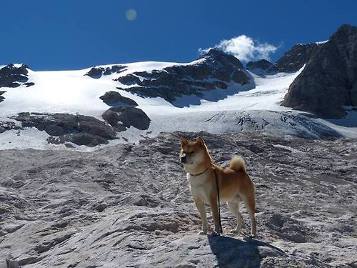 绿色赛事:环保理念在大赛中的实践,绿色环保知识竞赛心得体会