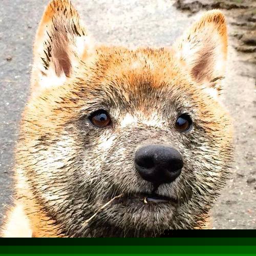 kaiyun登录入口-“沙滩手球与沙滩合球，天府新区双重竞技体验”