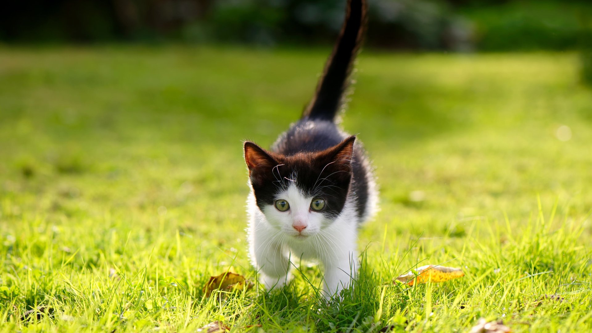中超联赛中国女足惨败 球迷呼吁加强体能训练,中国女足踢的怎么样