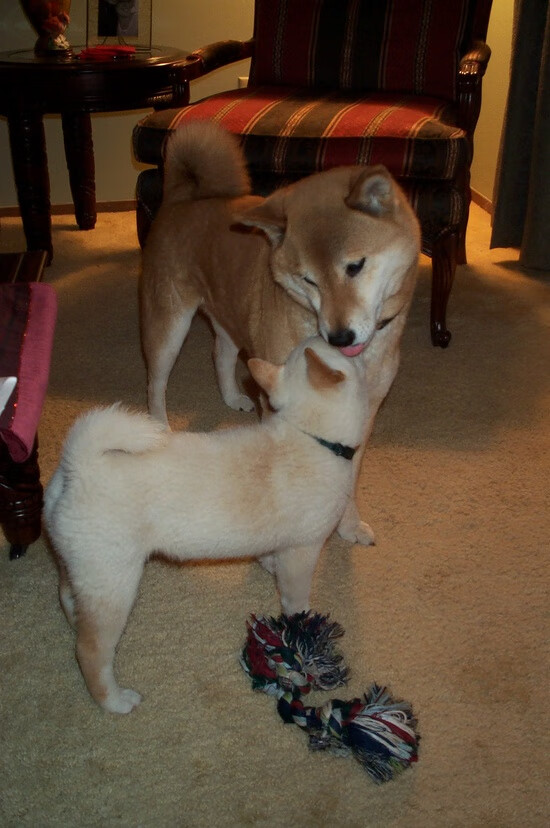 开云官方网页登录-世界杯激战难忘：精彩比赛瞬间集锦！，世界杯激动人心时刻