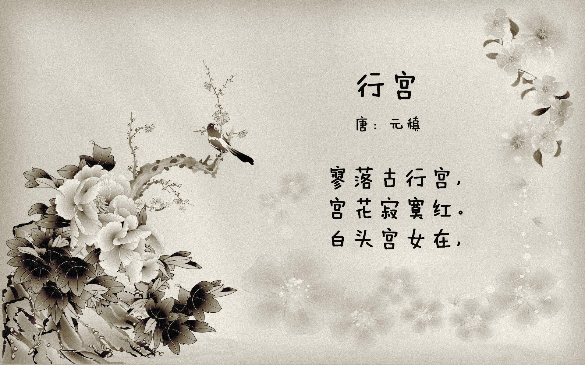 法甲外援适应问题深度报道,法甲推荐