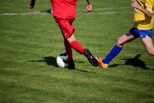 开云体育h5-NBA球员训练计划优化设计，nba运动员训练计划